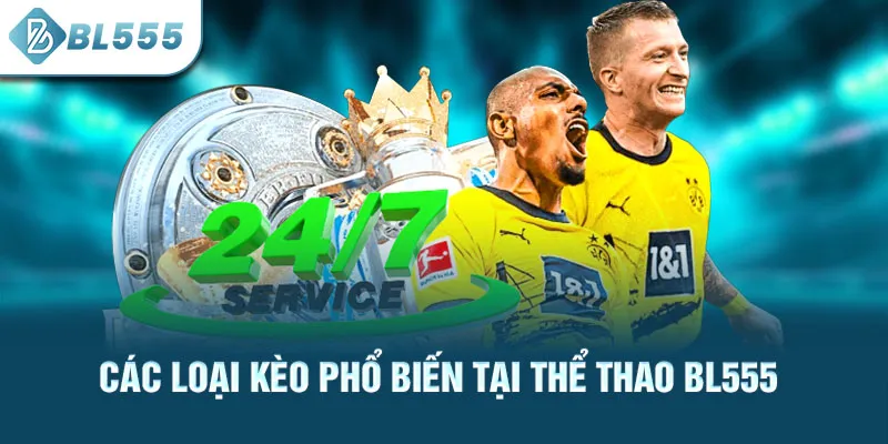 cac-loai-keo-pho-bien-tai-the-thao-bl555_2