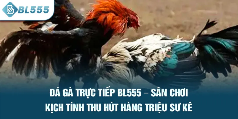da-ga-truc-tiep-bl555-–-san-choi-kich-tinh-thu-hut-hang-trieu-su-ke_13