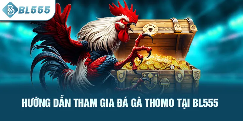 huong-dan-tham-gia-da-ga-thomo-tai-bl555_28