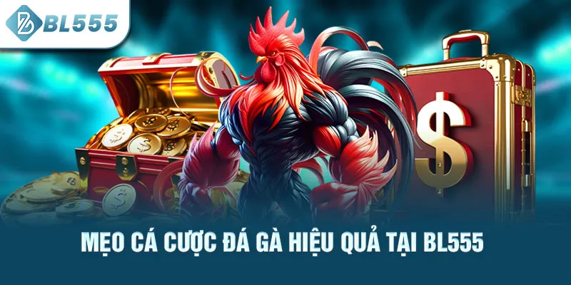meo-ca-cuoc-da-ga-hieu-qua-tai-bl555_47